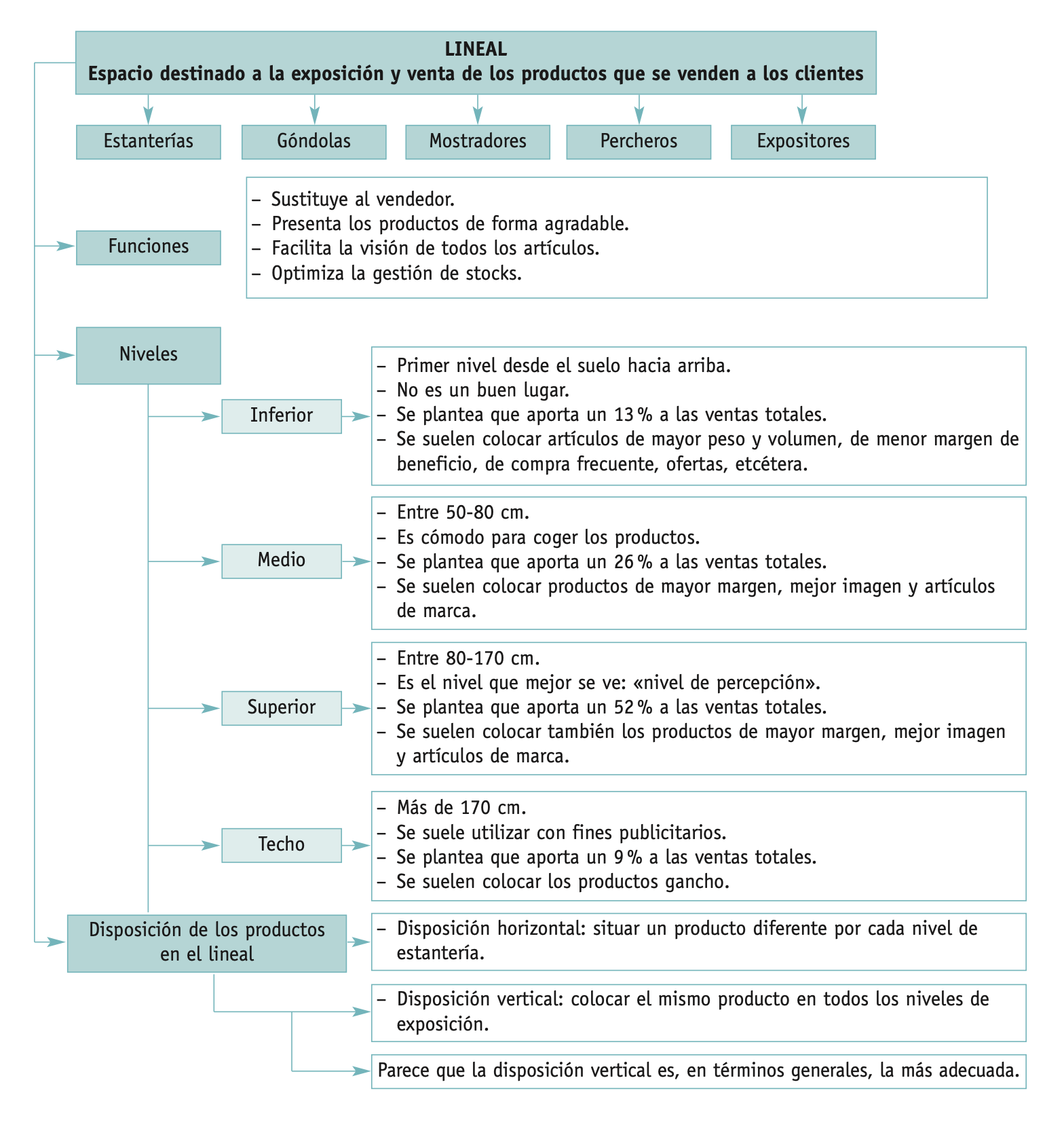 Mapa conceptual del lineal